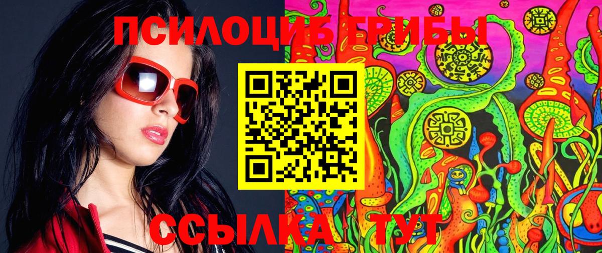 Псилоцибиновые грибы Cubensis Елабуга