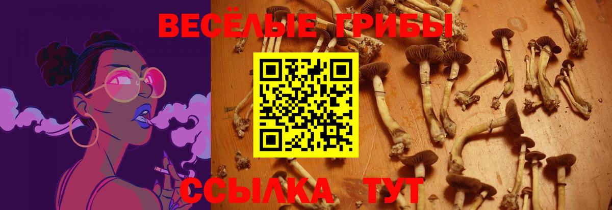 Галлюциногенные грибы Psilocybine cubensis  Вход с VPN  Галлюциногенные грибы мицелий  продажа наркотиков  Елабуга 